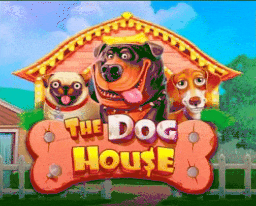 Play The Dog House in 24Magic Casino